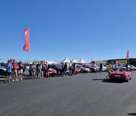 Der Alfaclub beim Oldtimer Grand Prix 2026
