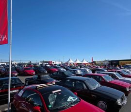Der Alfaclub beim Oldtimer Grand Prix 2026