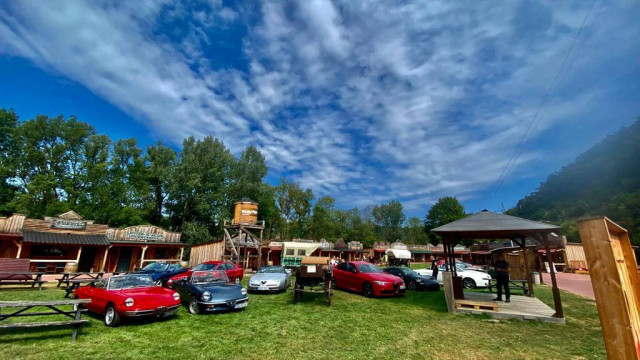 viele Alfas von vorne