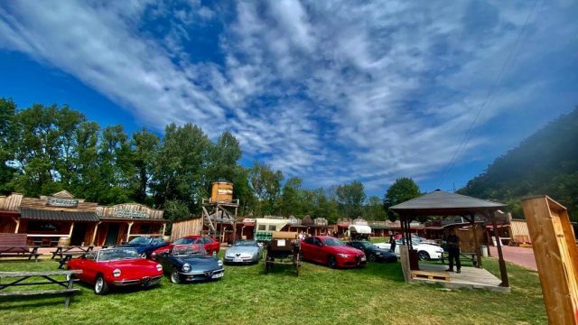 viele Alfas von vorne